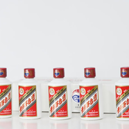 茅臺53度50ml貴州茅臺酒（白色）50ml *5瓶/醬香酒/送禮/禮品 53%vol 50mL 1瓶