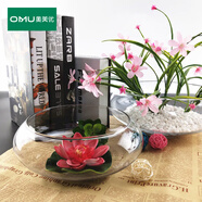 奧美優(yōu)水培容器玻璃花盆睡蓮碗蓮專(zhuān)用盆大號水仙盆大口徑銅錢(qián)草玻璃缸