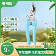 安賽瑞 修枝剪刀果樹剪園藝剪 盆栽剪花卉工具園林綠植剪刀花藝 5J00324
