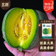 北蔬 冰翡翠甜瓜種子種苗超甜綠寶石香瓜水果籽 冰翡翠甜瓜種子約50粒