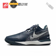 耐克（NIKE） LeBron NXXT Gen詹姆斯布朗尼一代籃球鞋 PD倉 FJ1567-400 41