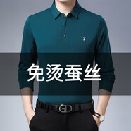 花花公子高端桑蠶絲長(zhǎng)袖T恤男士2025春秋新款翻領(lǐng)體恤衫薄款中青年上衣男 綠色 M 165建議90-120斤