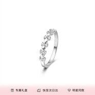 范琦（Fanci）為愛加冕對戒情侶銀戒指男女活口表白禮物送女友 女戒開口款單只 閃電發(fā)貨