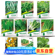 花沃里10款蔬菜種子套裝2 豆角辣椒番茄蘿卜白菜生菜香菜菠菜四季菜籽 