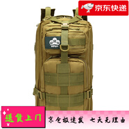 頓巴縱隊(duì)多功能戰(zhàn)術(shù)雙肩包迷彩軍迷背包徒步旅行包防水登山包3P包 泥色 20-35升