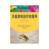 沙盤游戲治療的督導/心靈花園·沙盤游戲與藝術(shù)心理治療叢書