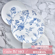 隆達骨瓷陶瓷餐具 雅韻 骨碟飯盤餐盤菜盤 中式青花創(chuàng)意簡約中國風 雅韻淺盤 2個 10.5英寸
