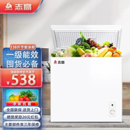 志高（CHIGO）家用冰柜小迷你冷藏冷凍轉冷柜小型全冷凍囤貨儲存母乳小冰箱一級節能省電 以舊換新 【省電款 一級節能】 138升