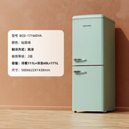 大宇（DAEWOO）DAEWOO大宇復(fù)古雙門(mén)風(fēng)冷冰箱家用節(jié)能冷藏冷凍小型冷柜電冰箱171L BCD171WDYA171L仙蹤綠