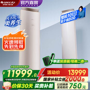 格力空調  王者/明珠 變頻冷暖 風不吹人 自清潔 智能 客廳空調立式高溫空調柜機 家電國家補貼以舊新 3匹 一級能效 明珠 (珊瑚玉)