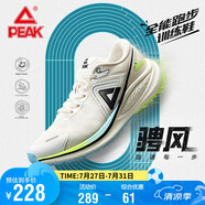匹克態(tài)極騁風(fēng)1.0跑步鞋男鞋輕便減震透氣中考體測運動(dòng)鞋子男DH410037