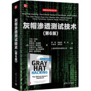 灰帽滲透測試技術(shù)(第6版)（網(wǎng)絡(luò )空間安全叢書(shū)）