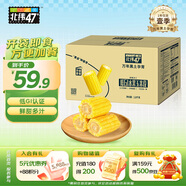 北緯47°水果玉米段3.6斤  開袋即食鮮甜玉米段 低脂低GI東北早餐苞米