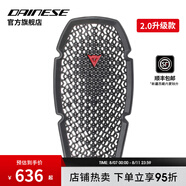 DAINESE/丹尼斯PRO-ARMOR摩托車背板護(hù)胸護(hù)髖機(jī)車騎行護(hù)具裝備通風(fēng)透氣 PRO-ARMOR G2 2.0升級(jí)款護(hù)背 均碼