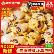 匯爾康2025新鮮知了猴金蟬爬叉100只生鮮知了龜唐僧肉速凍 【甄選大號】白蟬100只