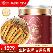 福東海 冬蟲夏草斷草20克 干斷蟲草蟲體飽滿 實(shí)惠裝老年人營養(yǎng)品送禮