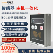 珀瑞克BC-200粗糙度測量儀高精度手持式表面粗糙度儀光潔度檢測儀 BC-110粗糙度儀經(jīng)濟(jì)款（測平面）