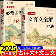 2025版初中文言文全解全練一本通人教版7-9年級通用版 初中必背的古詩詞和文言文 初中名著導(dǎo)讀與考點精練閱讀 初中小學(xué)升初一到初三必備古詩文言文譯注與賞析語文閱讀練習(xí)完全解讀一本全 【全套2冊】古詩