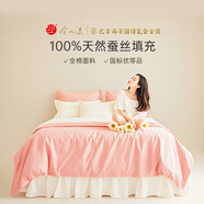 金加瀛學(xué)生被100%蠶絲被宿舍單人春秋被手工被芯冬夏涼被四季子母被免洗 四季子母被（總約2.4+4.4斤） 100%蠶絲全棉表布200*230cm