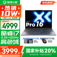 聯(lián)想小新Pro16/GT 2025補(bǔ)貼 AI元啟可選 輕薄筆記本電腦 高刷大屏辦公設(shè)計(jì)游戲本 人臉識(shí)別 旗艦標(biāo)壓 13代i7｜16G 1TB｜LCD屏｜Pro版 16英寸 超高清120Hz