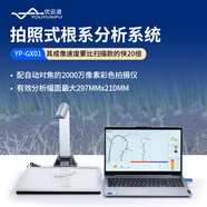 優(yōu)云譜植物根系分析儀根莖掃描儀樹(shù)根圖像分析儀樹(shù)木根瘤菌形態(tài)分析系統(tǒng) 拍照式(速度快，分辨率低)