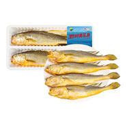 三都港【冰鮮】三去野馴黃花魚凈重1100g/2條 黃魚 源頭直發(fā)