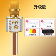 新科K歌麥克風(fēng)話(huà)筒音響一體自帶聲卡全民唱歌手機家庭兒童K歌神器七夕情人節禮物 土豪金+收納包歌手級音質(zhì)DSP