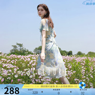 三彩獨(dú)醒2025夏季新款荷葉邊印花雪紡裙連衣裙度假風(fēng)長(zhǎng)裙F 冰川藍(lán)花卉 S 155/80A