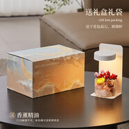 赟婭磁懸浮永生花臺(tái)燈情人節(jié)圣誕節(jié)生日禮物送女友女生實(shí)用高級(jí)感小眾 永生花香薰小夜燈【禮盒款】