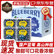 蒲戀國產(chǎn)藍莓【多地次日達】精選高山花香藍莓新鮮水果中秋節(jié)送禮品 【110g-125g】*4盒【聚劃算】 優(yōu)質(zhì)【單果15mm+ 】推薦~