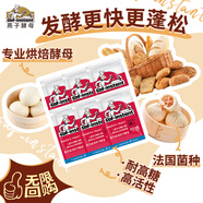 燕子（SAF INSTANT）高活性即發(fā)干酵母 紅燕饅頭包子 低糖面包發(fā)酵粉15g*6袋