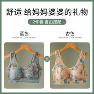 北極絨冰絲無痕女士內(nèi)衣輕薄無痕裸感透氣媽媽文胸聚攏防下垂背心式胸罩 【杏色+藍色】+556+223 L