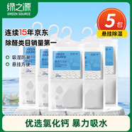 綠之源 可掛式250g*5袋回南天除濕袋干燥劑除濕防潮家用回南天神器