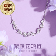 戴銀坊項(xiàng)鏈S999純銀項(xiàng)鏈女2025新款紫藤花吊墜鎖骨鏈女生生日禮物女生 足銀999項(xiàng)鏈+證書+玫瑰花禮盒