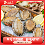 江船長(zhǎng) 冷凍大鮑魚凈重270g 10粒裝 去內(nèi)臟 活鮑加工火鍋燒烤食材 