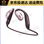 Ola Friend字節跳動(dòng)豆包AI智能體耳機開(kāi)放式不入耳藍牙耳機運動(dòng)  標配 粉色  ows sports