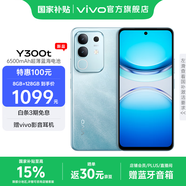 vivo Y300t 手機(jī) 6500mAh超薄藍(lán)海電池 天璣7300長(zhǎng)久流暢芯片 磐石抗摔結(jié)構(gòu) 軍工級(jí)耐用品質(zhì) 拍照 手機(jī) 海藍(lán) 12GB+256GB