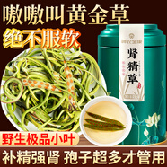 神農(nóng)金康腎精草100g 嗷嗷叫黃金草 野生長白山腎精茶化石草東北男士養(yǎng)生茶