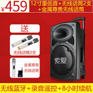 索愛(ài)（soaiy）T19戶(hù)外12/15寸大功率廣場(chǎng)舞音響移動(dòng)便攜式藍牙拉桿音箱家用手提重低音炮音量帶無(wú)線(xiàn)話(huà)筒室外唱K 12寸重低音+2支無(wú)線(xiàn)話(huà)筒+金屬無(wú)線(xiàn)話(huà)筒