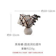 北歐風(fēng)創(chuàng)意洞石裝飾擺件貝殼香薰手工藝品禮物海螺杯大理石首飾盤(pán) 黑骨螺-洞石圓底