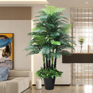 接運貓仿綠植散尾葵大型植物造景室內(nèi)裝飾客廳落地擺件假1米五桿珍 1米五桿珍珠葵+盆+5波斯草