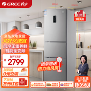 格力（GREE）晶弘風(fēng)冷無(wú)霜凈味小型雙門(mén)冰箱宿舍租房小巧不占地 BCD-226WPTCL/深空銀