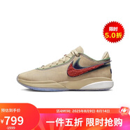 耐克（NIKE）男鞋夏款LeBron 20秋款減震耐磨籃球鞋 DV9089-200 40.5