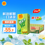 維他奶維他鴨屎香檸檬茶250ml*24盒 家庭聚會分享裝 整箱裝