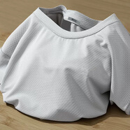 雪中飛短袖t恤女夏季2025新款防曬冰絲涼感跑步運動(dòng)上衣 淺灰154F (純色) XL 170/92A-推薦尺碼130-150斤