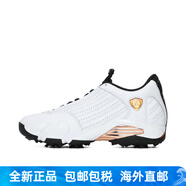 耐克（NIKE）耐克男子AIR JORDAN 14 G NRG USOPEN運動鞋 HV4813-100 42
