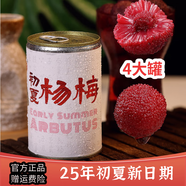 ALL DAY暮春木糖醇枇杷罐頭仲夏荔枝初夏楊梅2025年應季水果罐頭即食夏日 初夏楊梅540g*4罐 25年新果