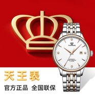 天王（TIAN WANG）手表男 生日禮物昆侖系列鋼帶機械表GS5876TP.D.TP.W