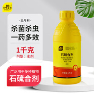史丹利石硫合劑殺菌劑紅蜘蛛月季花殺蟲劑黑斑病白粉病果樹清園藥1000g