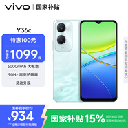vivo Y36c 12GB+256GB 遠山青 國家補貼 靈動(dòng)外觀(guān) 5000mAh大電池 90Hz高亮護眼屏 5G 拍照 手機
